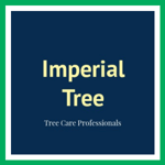 Imperial Tree Logo