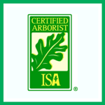 Ranger Services Logo