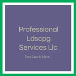 Professional Ldscpg Services Llc Logo