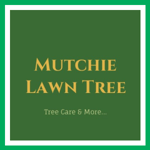 Mutchie Lawn Tree Logo