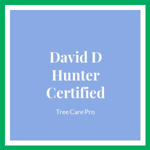 David D Hunter Certified Logo