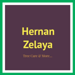 Hernan Zelaya Logo
