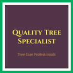 Quality Tree Specialist Logo