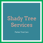 Shady Tree Services Logo
