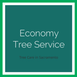 Economy Tree Service Logo