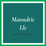 Manndric Llc Logo