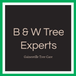 B &amp; W Tree Experts Logo
