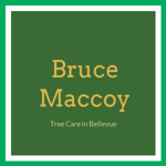 Bruce Maccoy Logo