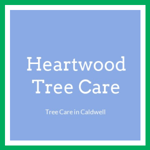 Heartwood Tree Care Logo