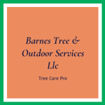 Barnes Tree &amp; Outdoor Services Llc Logo