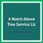 A Notch Above Tree Service Llc Logo