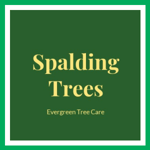Spalding Trees Logo