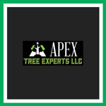Apex Tree Expert Logo