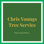 Chris Youngs Tree Service Logo