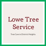 Lowe Tree Service Logo
