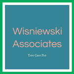 Wisniewski Associates Logo