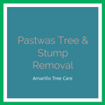 Pastwas Tree &amp; Stump Removal Logo
