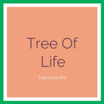 Tree Of Life Logo