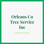 Orleans Co Tree Service Inc Logo