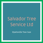 Salvador Tree Service Ltd Logo