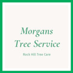 Morgans Tree Service Logo