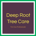 Deep Root Tree Care Logo