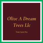 Olive A Dream Trees Llc Logo
