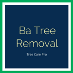 Ba Tree Removal Logo