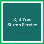 Rj S Tree Stump Service Logo