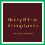 Bailey S Tree Stump Lands Logo