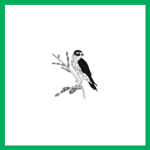 Merlins Tree And Farm Care Logo