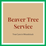 Beaver Tree Service Logo