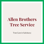 Allen Brothers Tree Service Logo