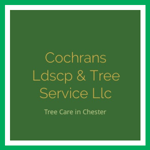 Cochrans Ldscp &amp; Tree Service Llc Logo