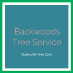 Backwoods Tree Service Logo
