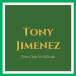 Tony Jimenez Logo