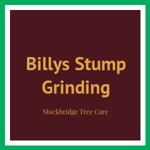 Billys Stump Grinding Logo