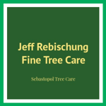 Jeff Rebischung Fine Tree Care Logo