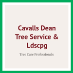 Cavalls Dean Tree Service &amp; Ldscpg Logo
