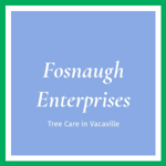 Fosnaugh Enterprises Logo