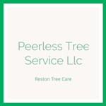 Peerless Tree Service Llc Logo