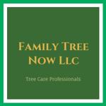 Family Tree Now Llc Logo