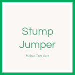 Stump Jumper Logo