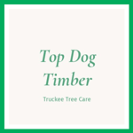 Top Dog Timber Logo