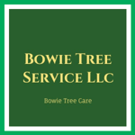 Bowie Tree Service Llc Logo