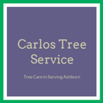 Carlos Tree Service Logo