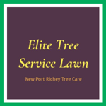 Elite Tree Service Lawn Logo