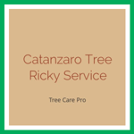 Catanzaro Tree Ricky Service Logo
