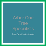 Arbor One Tree Specialists Logo