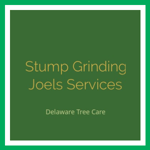 Stump Grinding Joels Services Logo
